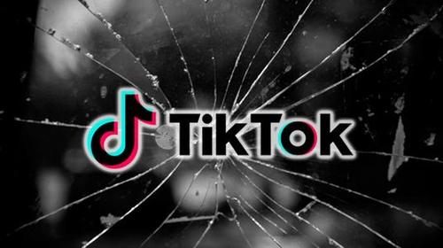 Tiktok Food Bloggers Reproduce Famous Dishes And Upgrade Home Kitchens 