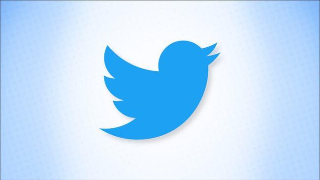 Twitter Will Launch A Guadeloupe Service Similar To Housesittersguadeloupe 