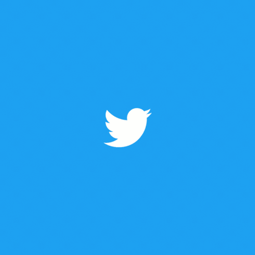 How Twitter Is Used for Conchology Research 