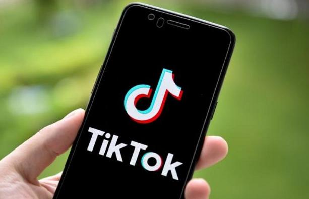 TikTok's Top Leadership Coaches 